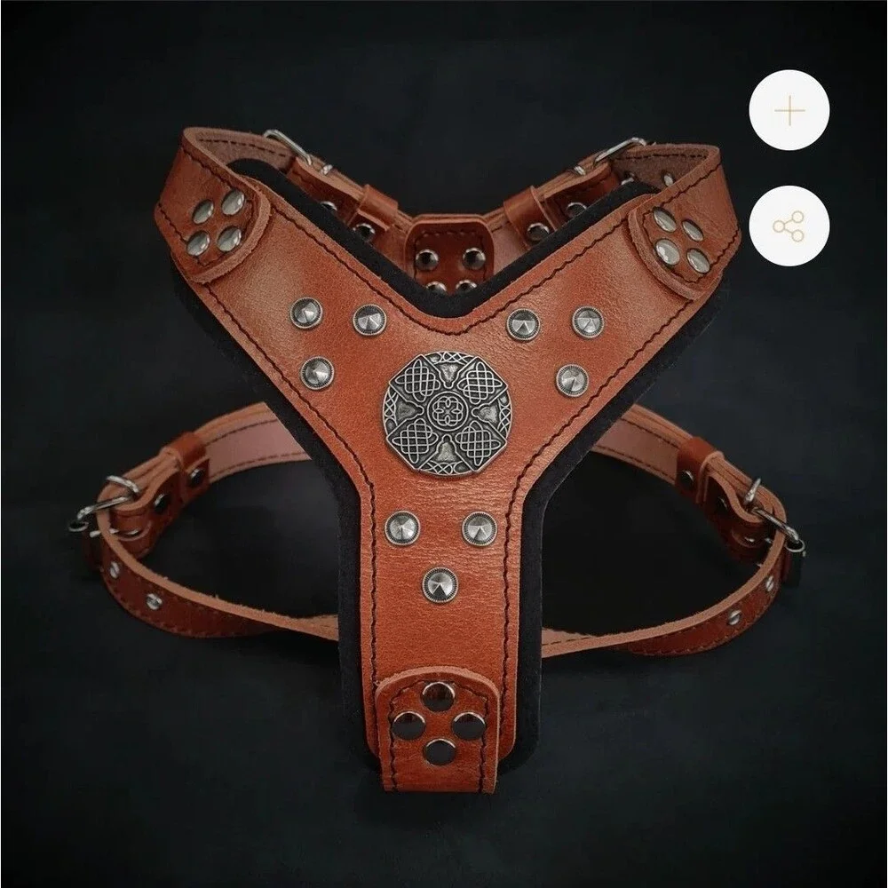 BESTIA The ''Maximus'' Dog Collar Harness Genuine Leather Brown Silver S-M EUC *